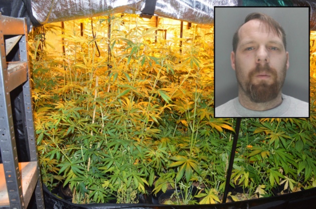 Jailed drug dealer Leigh Windsor, inset, and the cannabis factory found by police at Shangri-La Farm on the edge of Stevenage. Pictures: Herts police