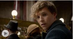 'Fantastic Beasts And Where To Find Them' SEQUEL Is Coming SOONER Than You Think!