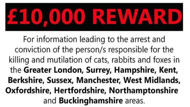 A £10,000 reward is being offered by Peta UK and Outpaced