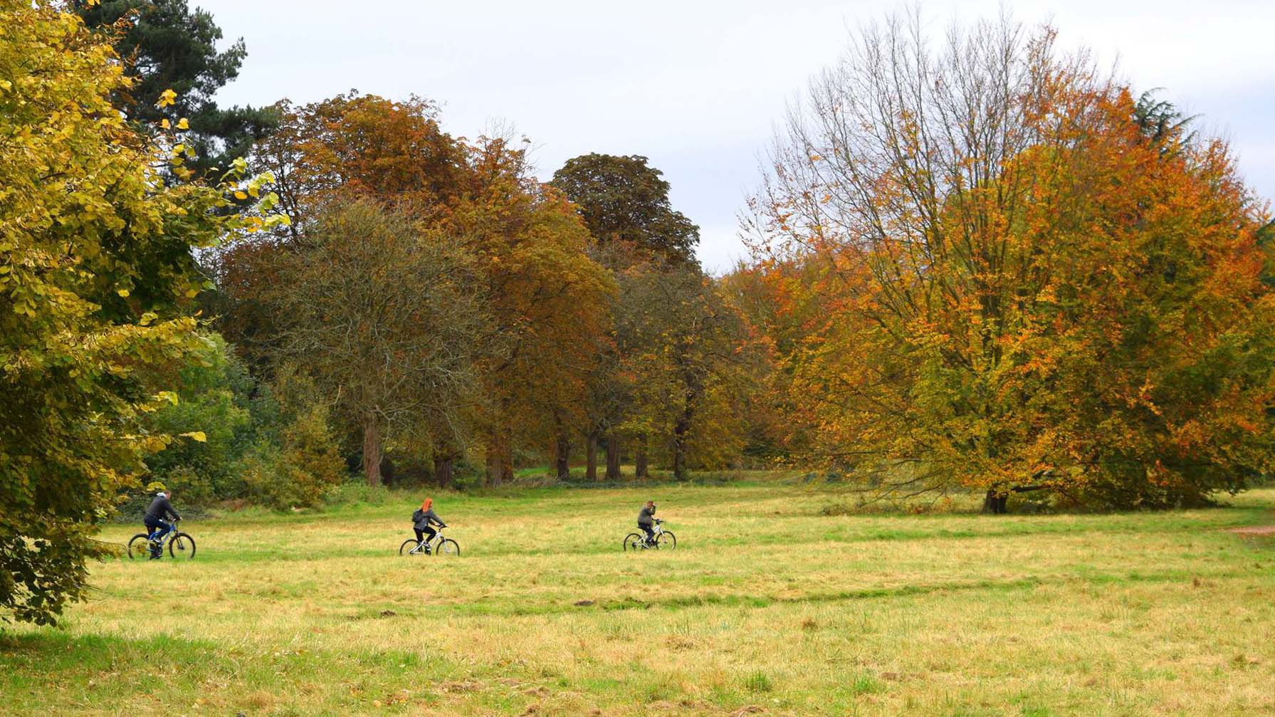 Cassiobury Park is officially one of Britain’s top ten favourite parks