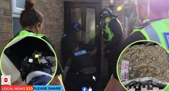 Police Seize £70,000 Worth of Cannabis Drugs Raid in Hatfield