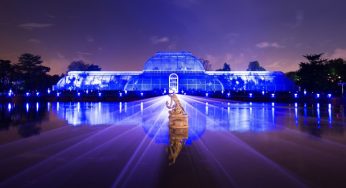 Kew Gardens festive illuminations return for Christmas.