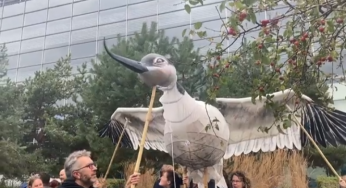 New Bird Flu control zones put into force today