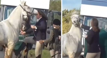 Female horse rider caught on video kicking and punishing horse by Hertfordshire Hunt Saboteurs