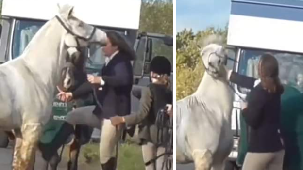 Female horse rider caught on video kicking and punishing horse by Hertfordshire Hunt Saboteurs