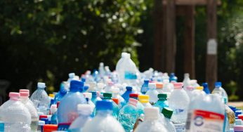 BPA Chemicals in plastic food packaging hazardous for health
