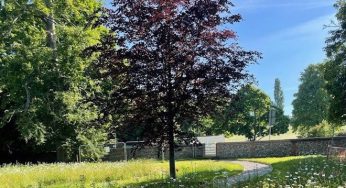 Covid-19 memorial garden in Gadebridge Park to open in summer