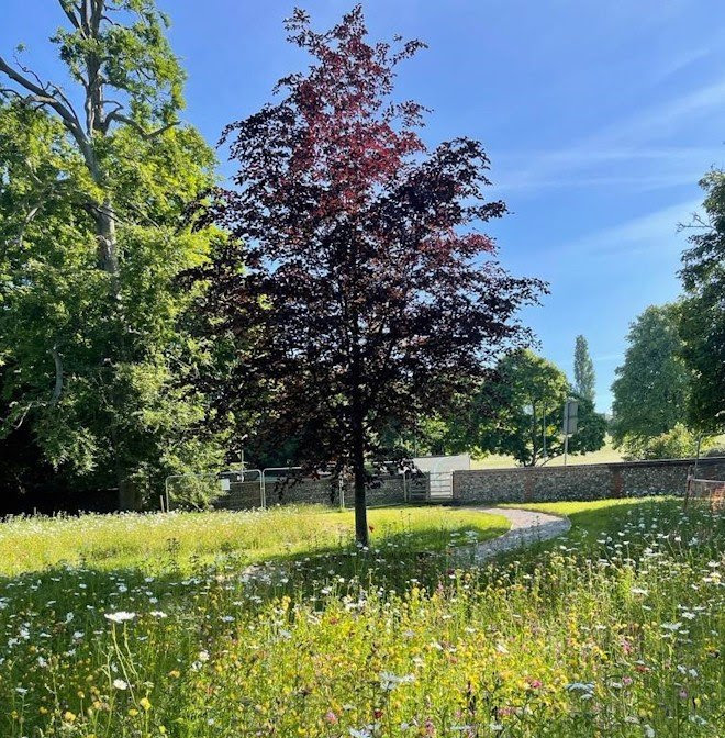 Covid-19 memorial garden in Gadebridge Park to open in summer