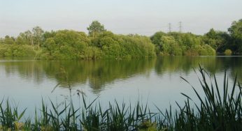 Young Boy dies after getting into difficulty in Cheshunt lake near Enfield