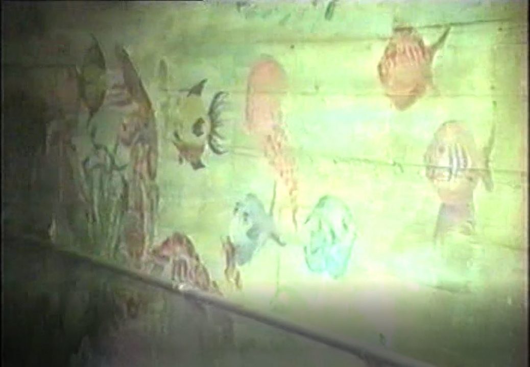 Murals