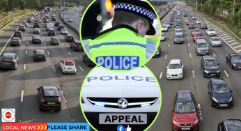 Appeal for witnesses following serious M25 crash Two dogs die and Woman airlifted to hospital with life-changing injuries