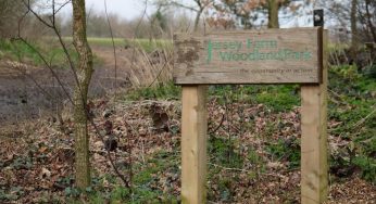 Violent Attack on Teen Raped in St Albans Park