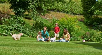 Johnsons Lawn Seed’s ultimate Ready steady mow and sow guide to spring lawn care