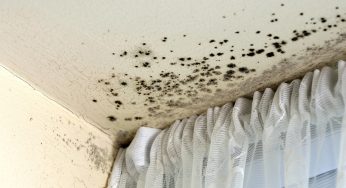 Housing Ombudsman finds severe maladministration at Torus Housing Association