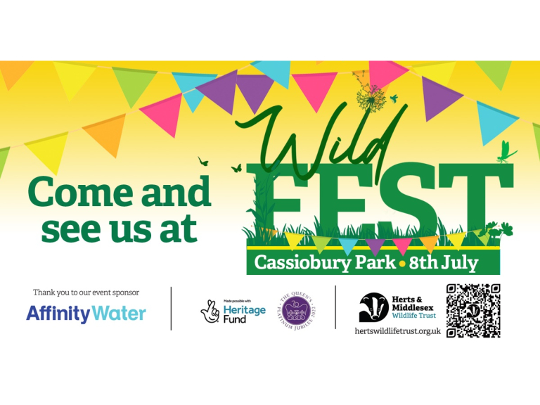 Special Wildfest event to celebrate local Wildlife in Cassiobury Park