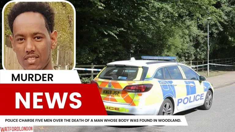 Stevenage woodland murder Five men charged