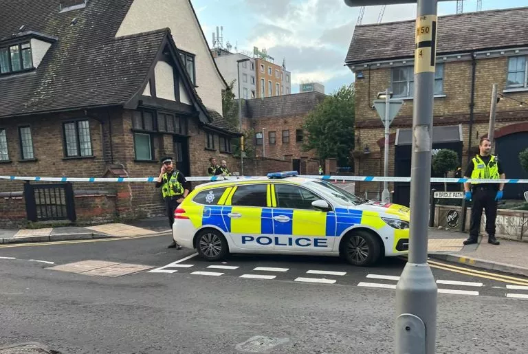 Police Appeal after Man Arrested after Stabbings in Watford