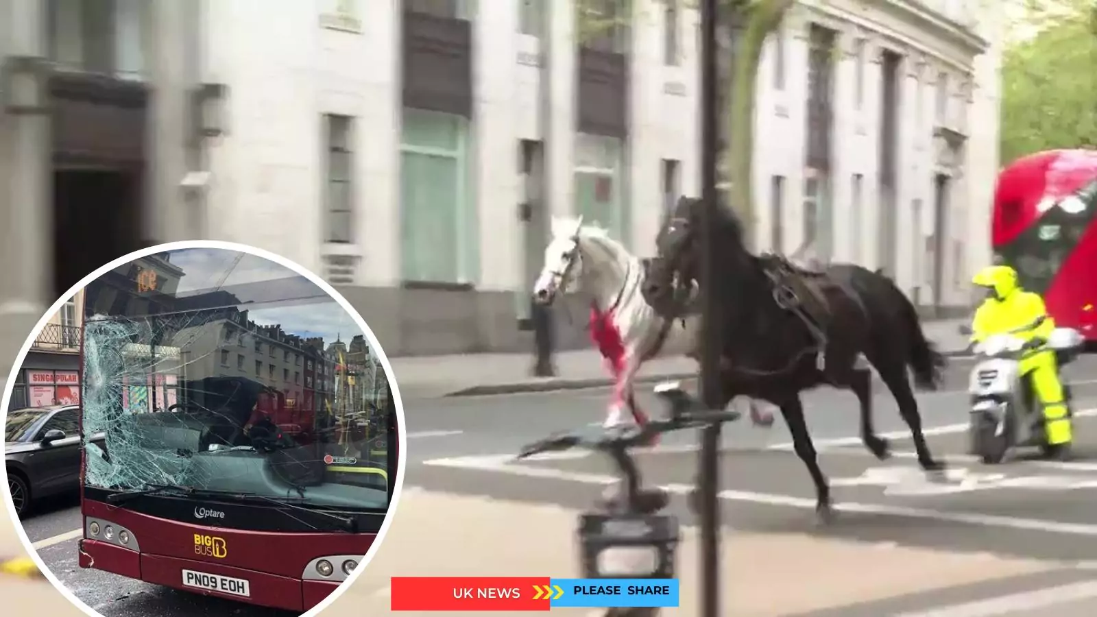 horses,london,bus
