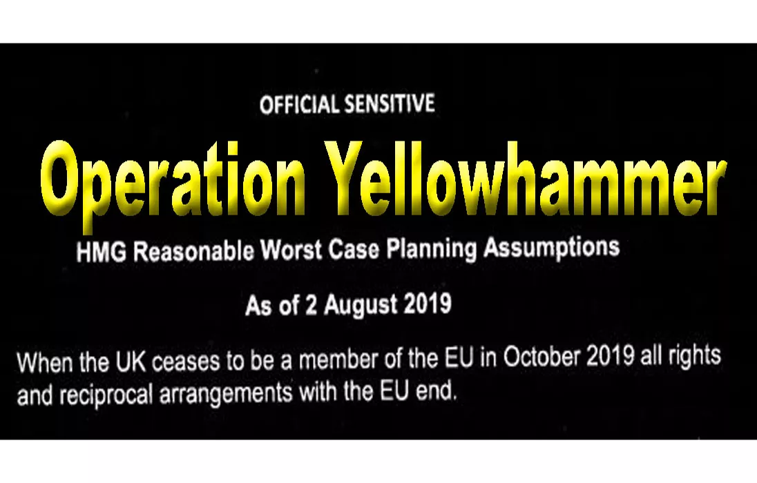 Operation Yellowhammer Reasonable Worst Case Senario
