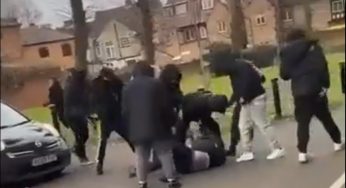 Video of park attack in Gadebridge Park left Teenager hospitalised Hertfordshire Police make appeal