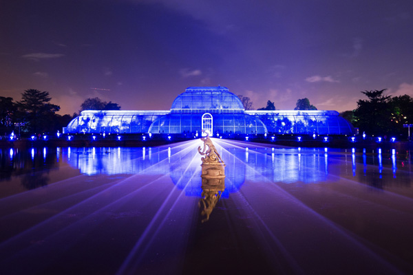 Kew Gardens festive illuminations return for Christmas.