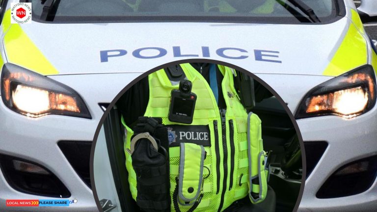 Abbots Langley Man Charged with Assault, Possession of Fake Handgun, Knife and Robbery